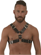 Leather harness