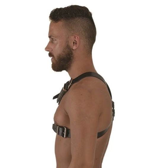 Leather harness