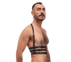 Leather harness