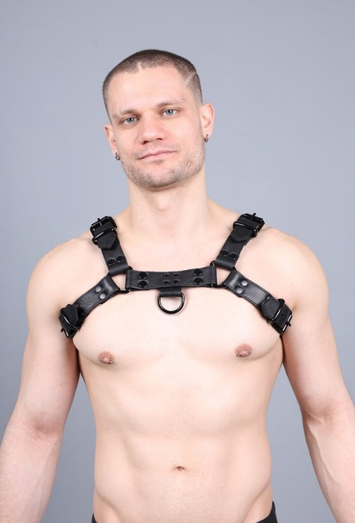 LEATHER HARNESS