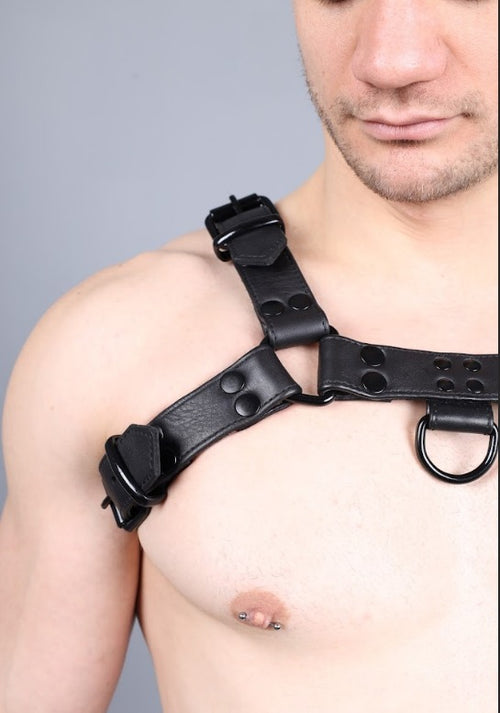 Leder Harness Schwarz