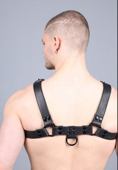 Leder Harness Schwarz