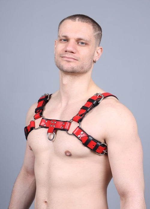 Leder Harness Rot