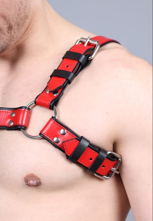 Leder Harness Rot