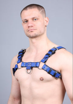 Leder Harness Blau