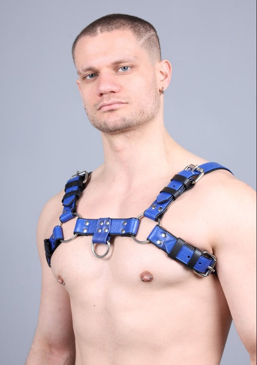 LEATHER HARNESS