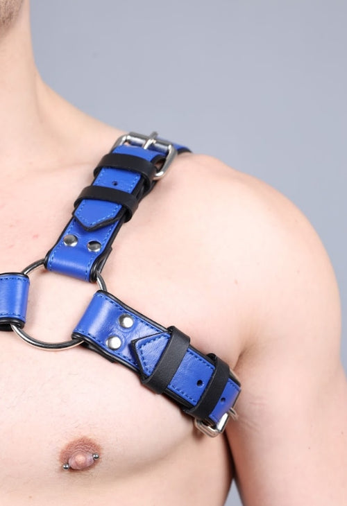 Leder Harness Blau