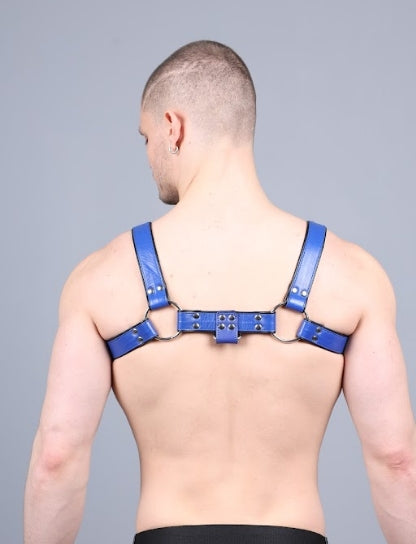 Leder Harness Blau