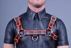 Leder Harness