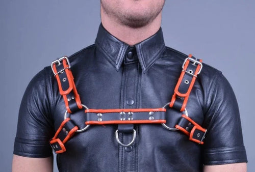 Leder Harness