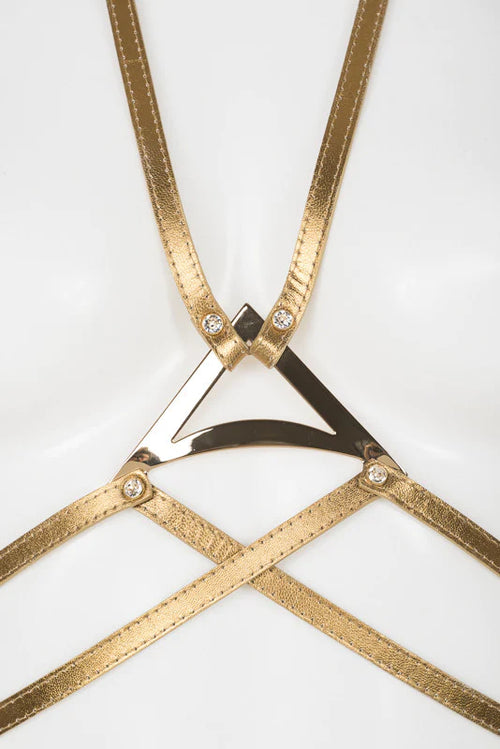 Luxury Leather Harness