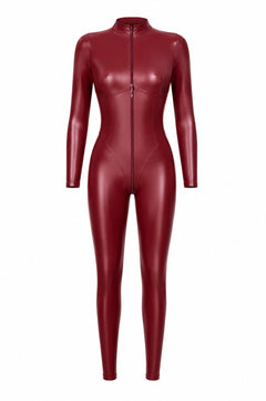 Wetlook Catsuit