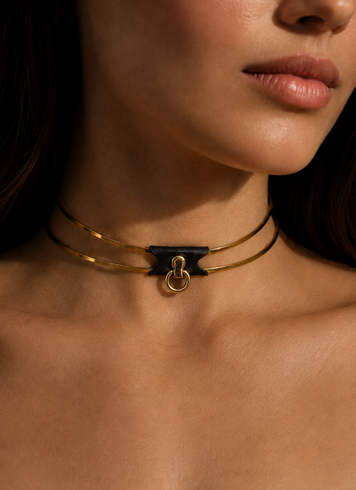 Exklusives Edelstahlhalsband mit Leder