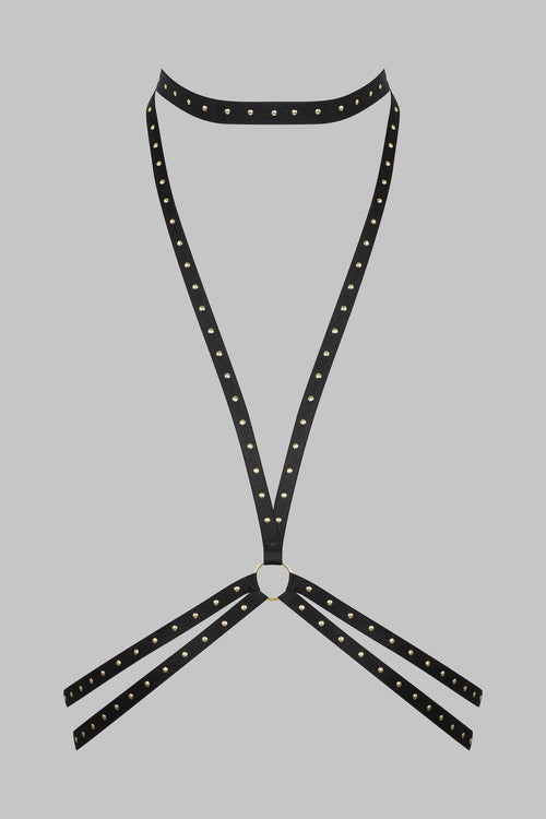 Harness mit Goldenen Plattnieten