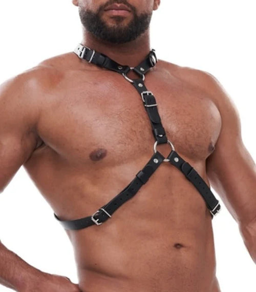 Mann mit Herren Harnesse und Halsband