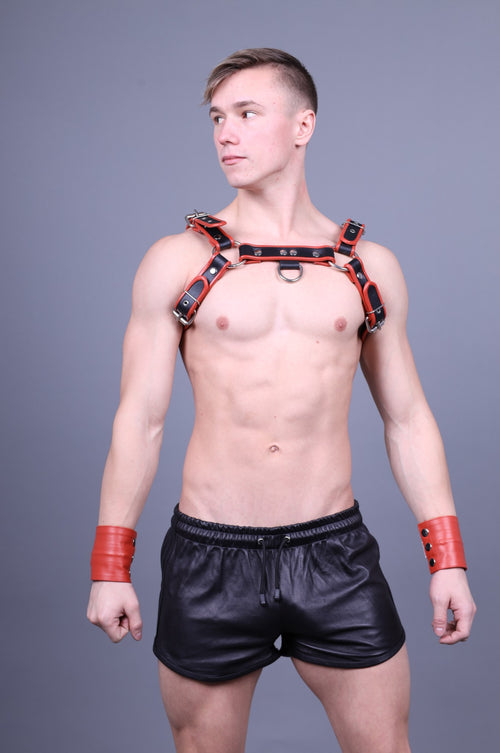 Leder Harness