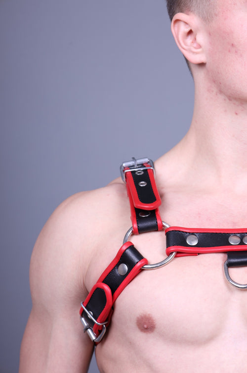 Leder Harness