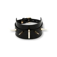 Leather studded collar with leash