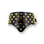 Luxury leather studded collar