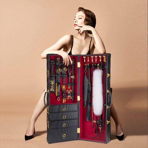 Luxus BDSM-Koffer Set