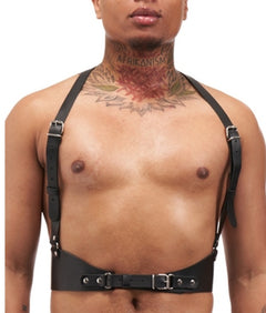 Leather harness with Y-straps