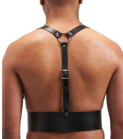 Leather harness with Y-straps