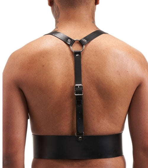 Leather harness with Y-straps