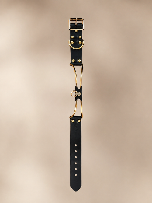 Exklusives Edelstahlhalsband mit Leder