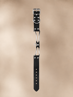 Exklusives Edelstahlhalsband mit Leder