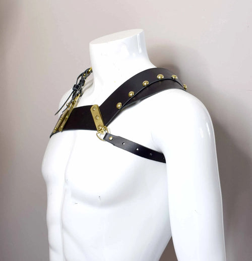 Asymmetric chest harness