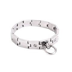 Fancy stainless steel collar