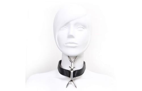 Collar for fixation