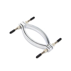 Stainless steel penis ring with anal plug