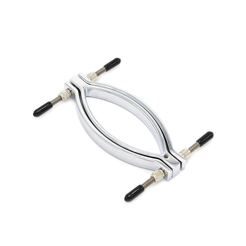 Stainless steel penis ring with anal plug