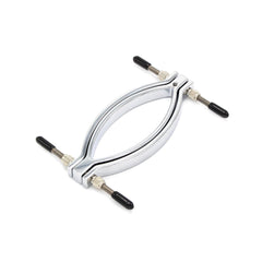 Stainless steel penis ring with anal plug