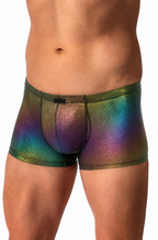 Irisierenden Shorts