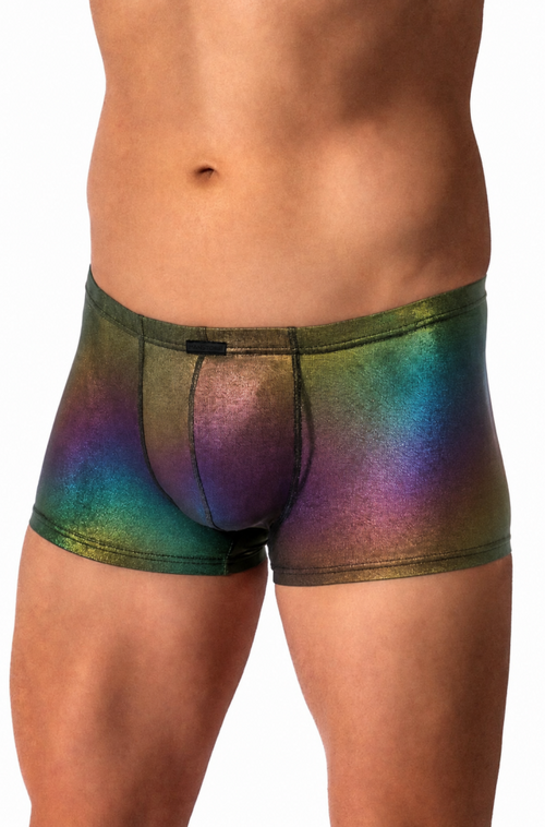 Irisierenden Shorts