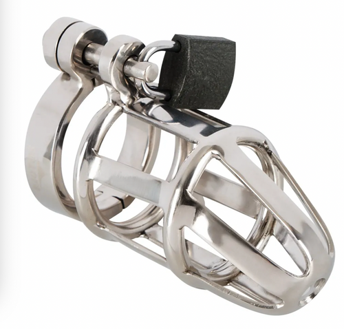 Chastity Cage Penis Cage