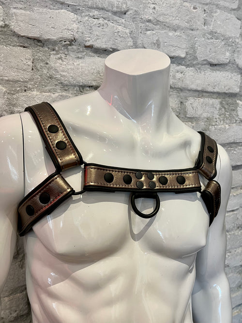 Leather Harness / various colors