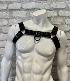 Leather Harness / various colors