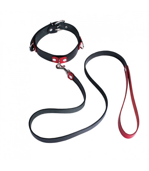 Collar &amp; Leash Set